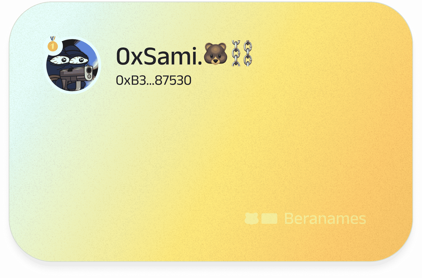 0xSami ID card